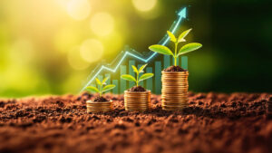 Produtos Estruturados: Colha Oportunidades em Qualquer Estação